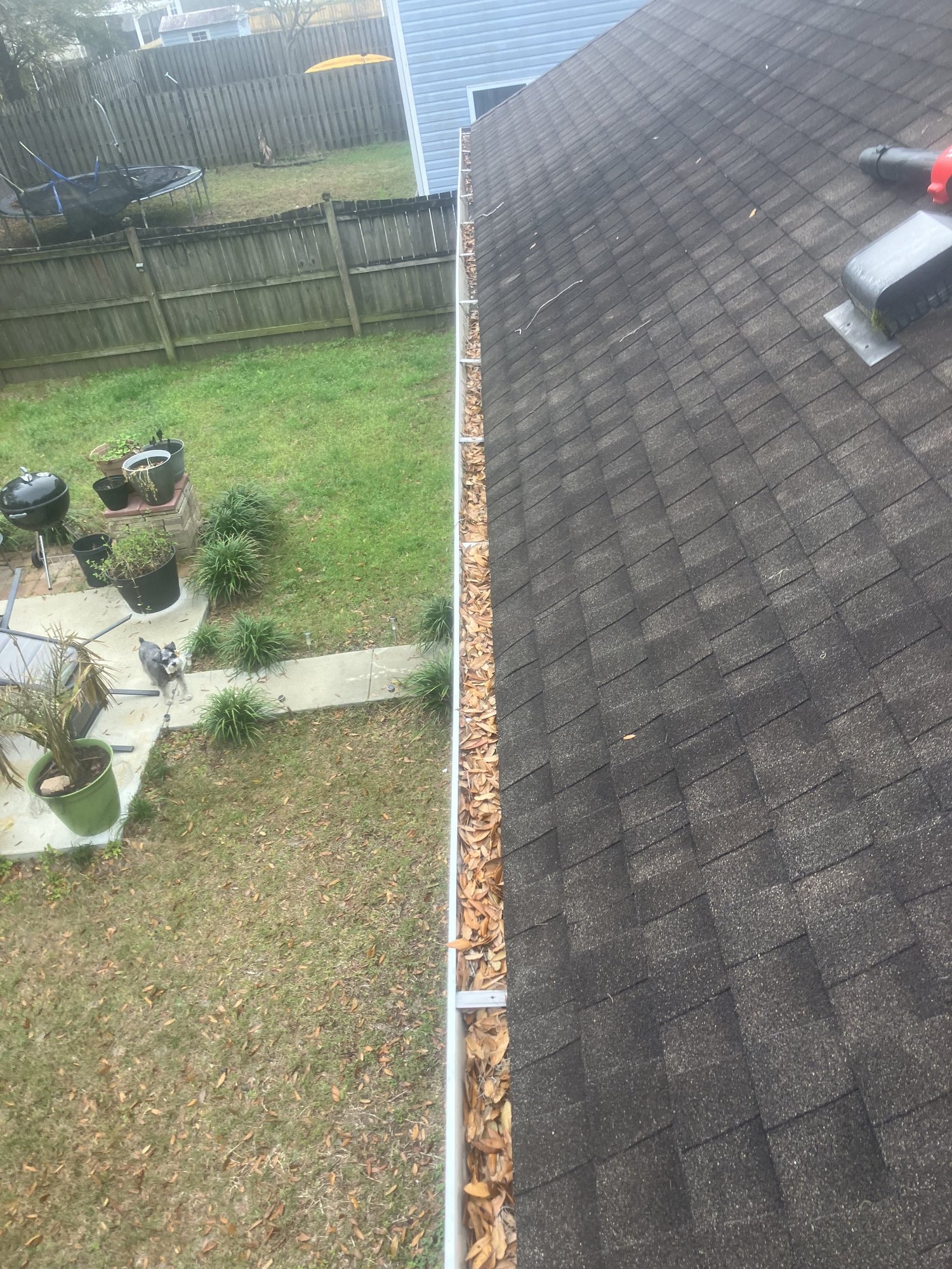 A roof edge and gutter on a house, seen from the roof during a handyman job.